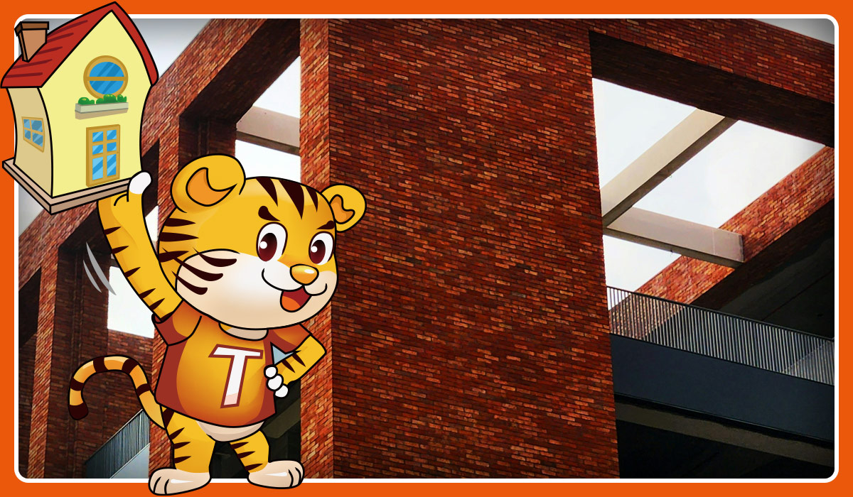 Tiger Bricks: Trusted Since 2009